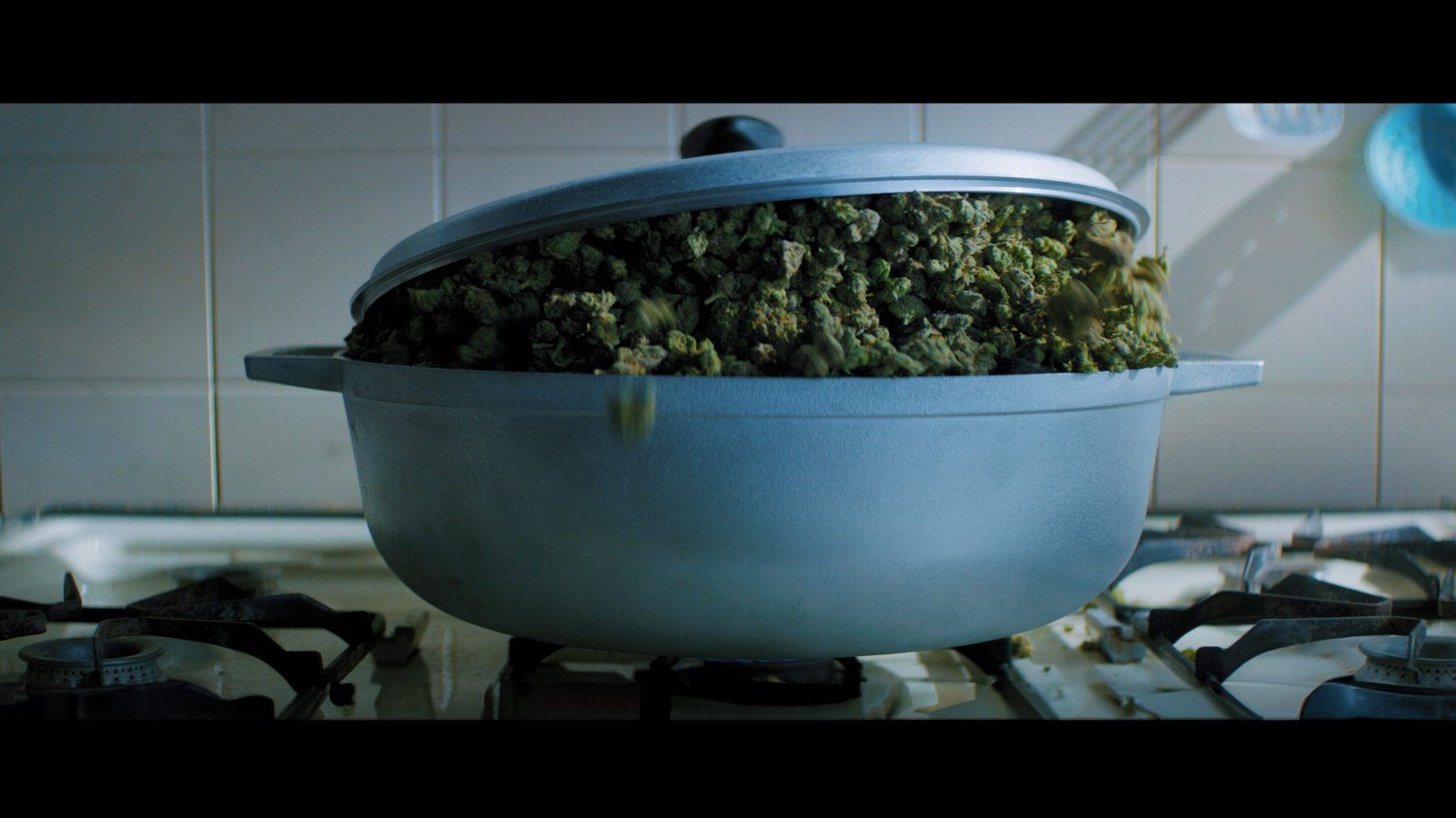 VicelandWeedWeek